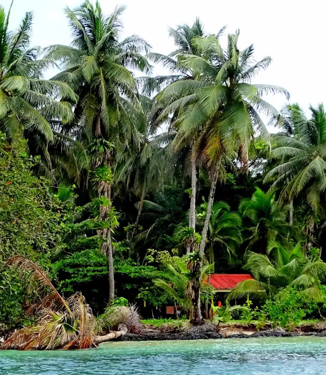 Punta Laurel