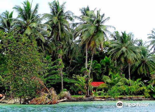 Zapatilla Island