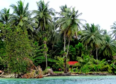 Punta Laurel