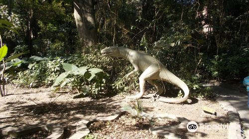 Miguel Lillo Museum of Natural Sciences