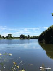 Dinton Pastures Country Park