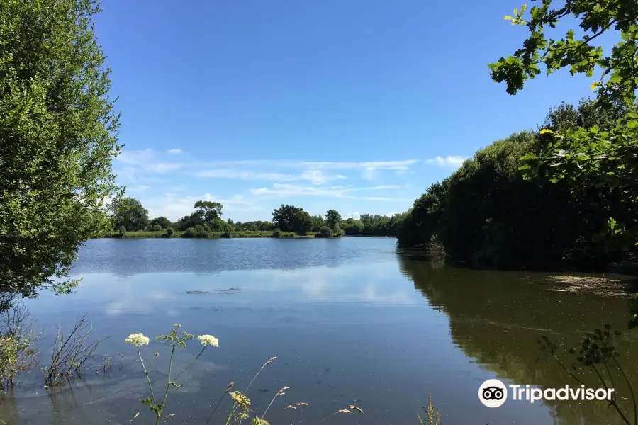 Dinton Pastures Country Park