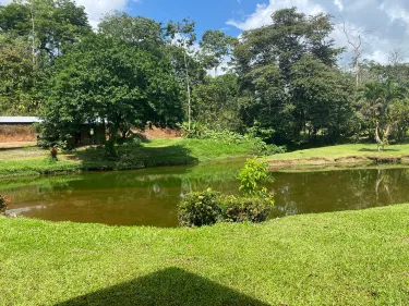 Puerto Viejo de Sarapiqui