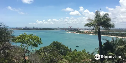 Cabo De Santo Agostinho Beach