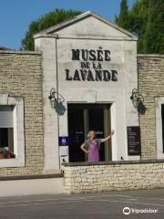 Musée de la Lavande à Digne-les-Bains (Digne 04)