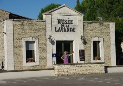 Musée de la Lavande