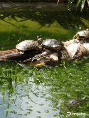 Parc Zoologique de Maubeuge