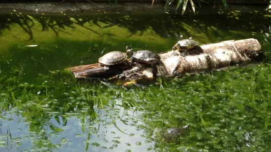 zoo di Maubeuge