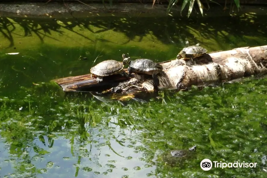 Zoo de Maubeuge