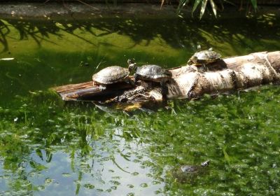 Parc Zoologique de Maubeuge