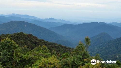 Gunung Brinchang