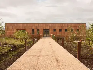 Lough Boora Discovery Park