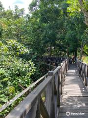 Sun Bear Education and Conservation Center