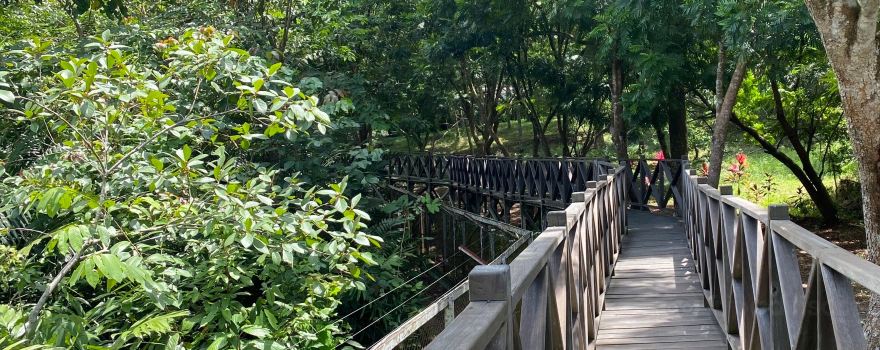 KWPLH BALIKPAPAN (Sun Bear Conservation)