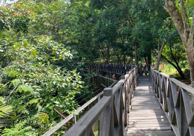 Sun Bear Education and Conservation Center