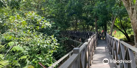 Sun Bear Education and Conservation Center
