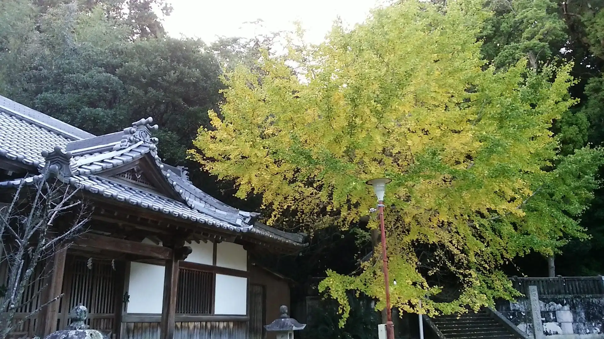 Hotels near Kumano Sansho Triad Shrine