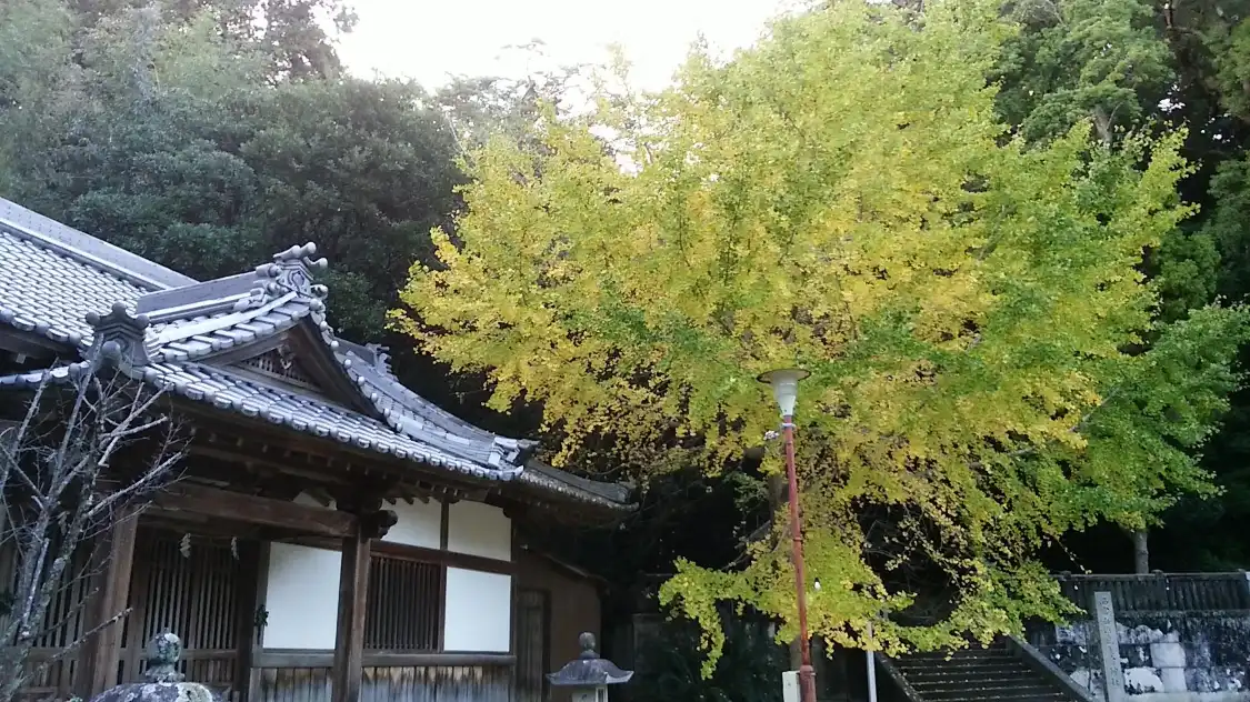 Hotels near Kumano Sansho Triad Shrine