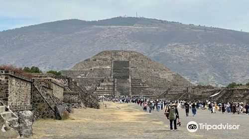 Teotihuacan Pyramids (Botanical Gardens)