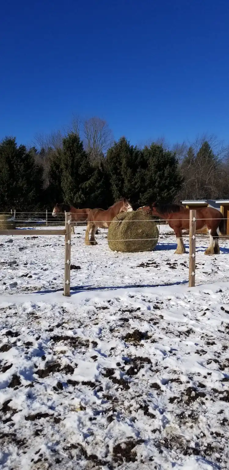 Hotels in Galena Township