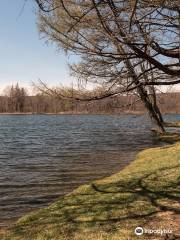 Taconic State Park - Rudd Pond Area