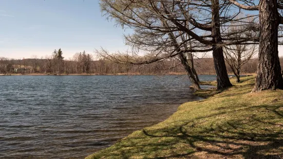 Taconic State Park - Rudd Pond Area