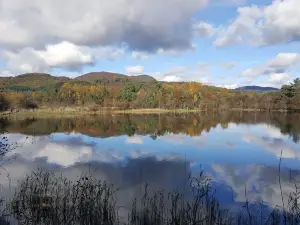Scottish Wildlife Trust - Loch of the Lowes Visitor Centre & Wildlife Reserve