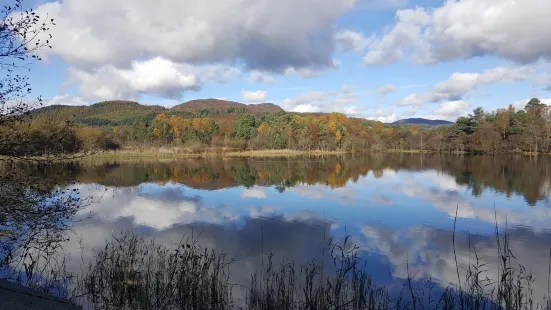 Scottish Wildlife Trust - Loch of the Lowes Visitor Centre & Wildlife Reserve