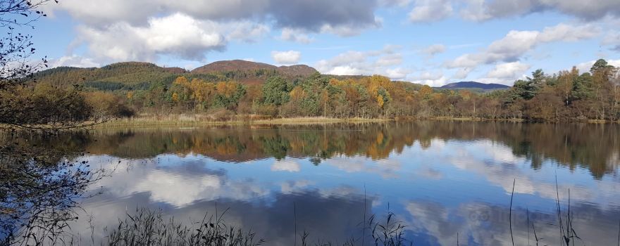 Scottish Wildlife Trust - Loch of the Lowes Visitor Centre & Wildlife Reserve