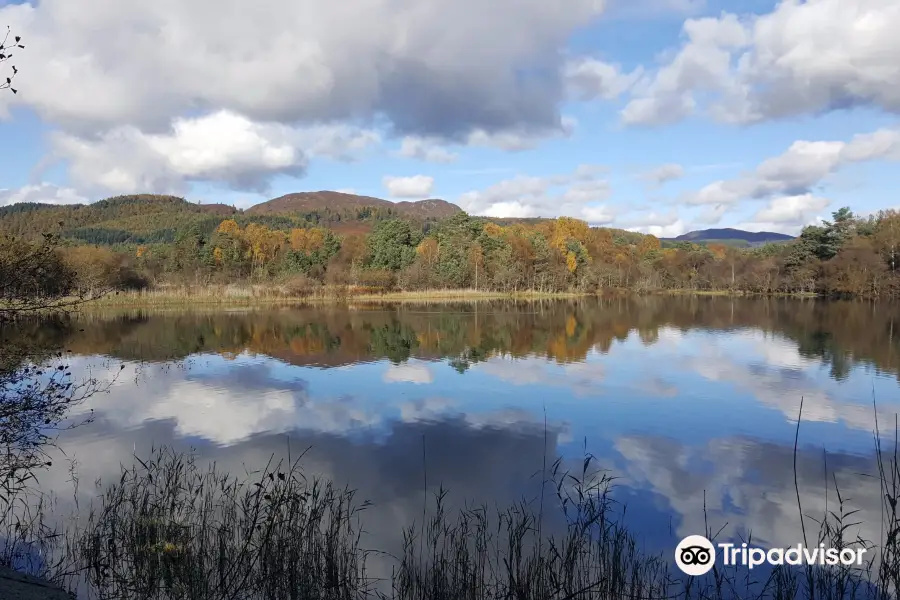 Scottish Wildlife Trust - Loch of the Lowes Visitor Centre & Wildlife Reserve