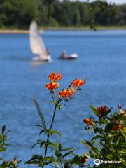 Fanshawe Conservation Area