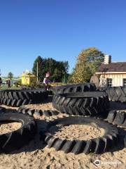 Siegel's Cottonwood Farm