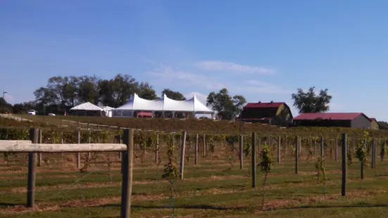 Chateau de Pique Winery - Brewery - Wedding Event Center