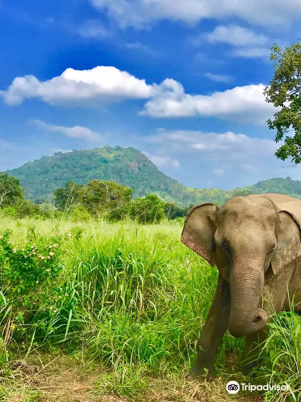 1_Safari Wildtour