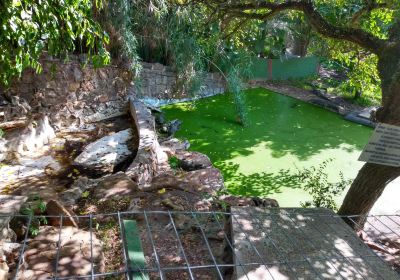 Zoo de la Ciudad de Salto