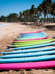 Punta Cana Surf Adventure