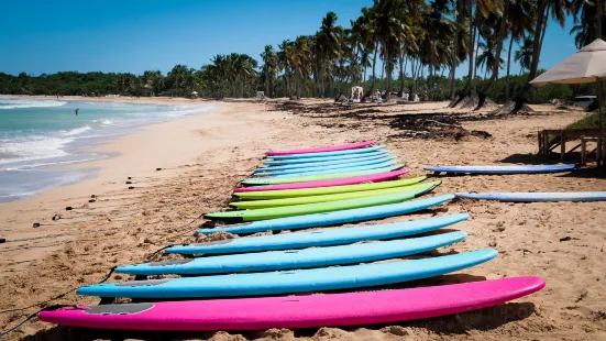 Punta Cana Surf Adventure