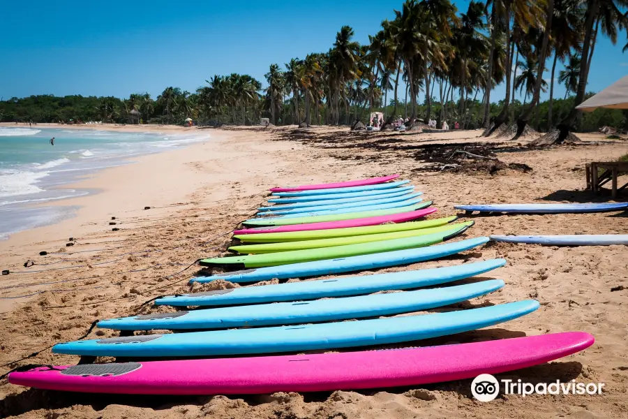 Punta Cana Surf Adventure