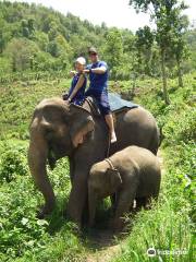 Baanchang Elephant's Paradise