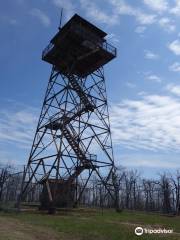 Rich Mountain Firetower