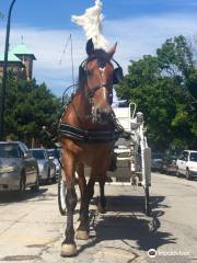 Chicago Horse & Carriage