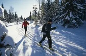 Les Aventuriers de Charlo