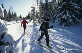 Les Aventuriers de Charlo