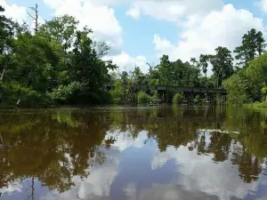 Village Creek State Park