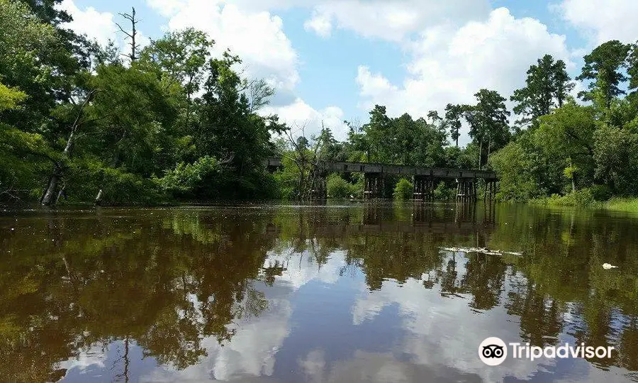 Village Creek State Park