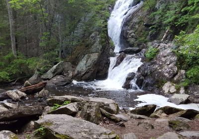 Campbell Falls State Park