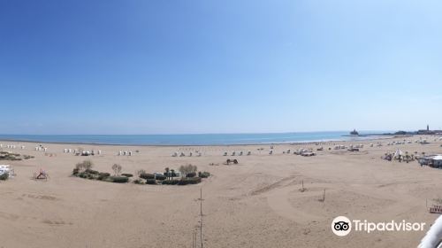 Beach Levante