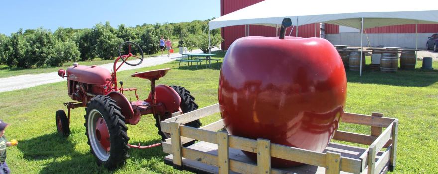 Holmberg Orchards
