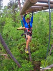 TreeUmph! Adventure Course in Brooksville