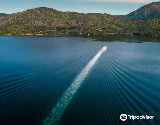 皮克頓 自由行套票